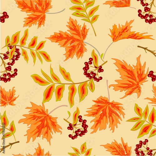 Seamless texture rowanberry and maple leaves autumn vector