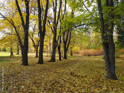 park in autumn