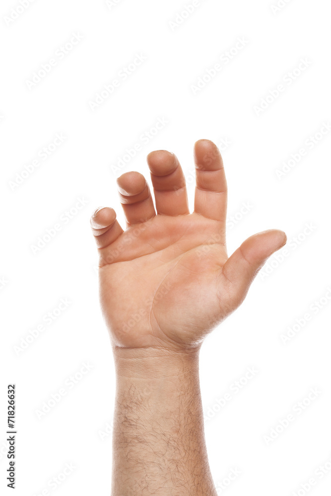 open hand isolated on white background open hand isolated on white background