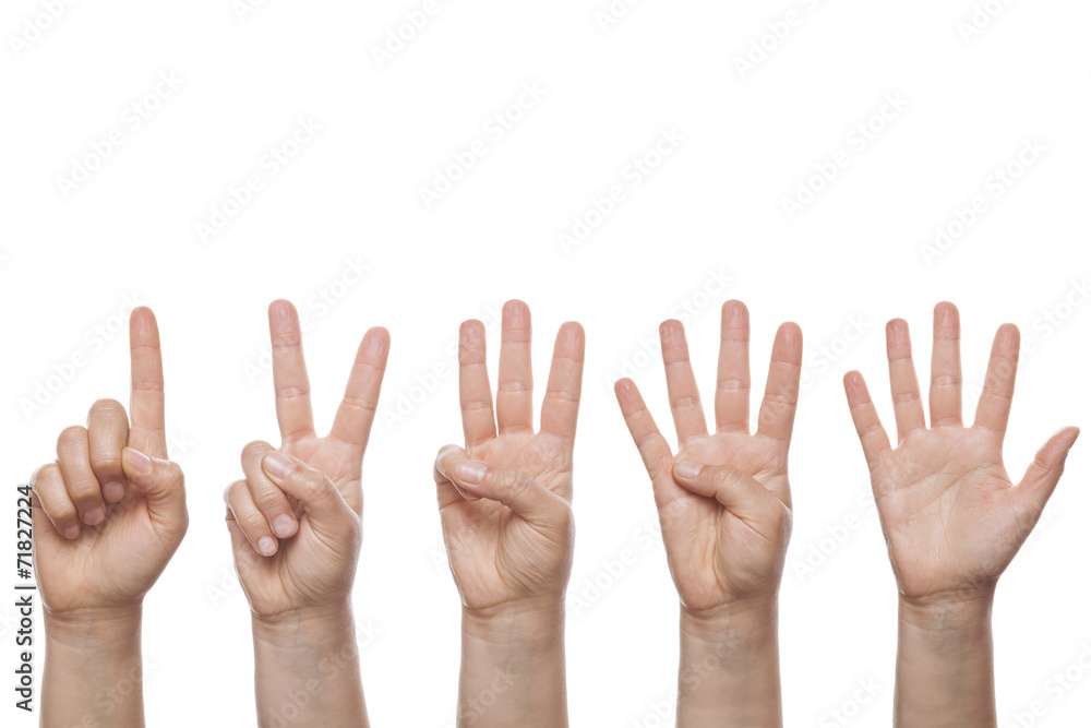 Counting Hands isolated over white background - obrazy, fototapety, plakaty 