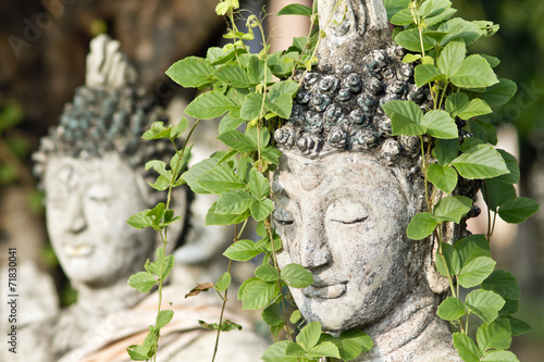 budda statue and nature
