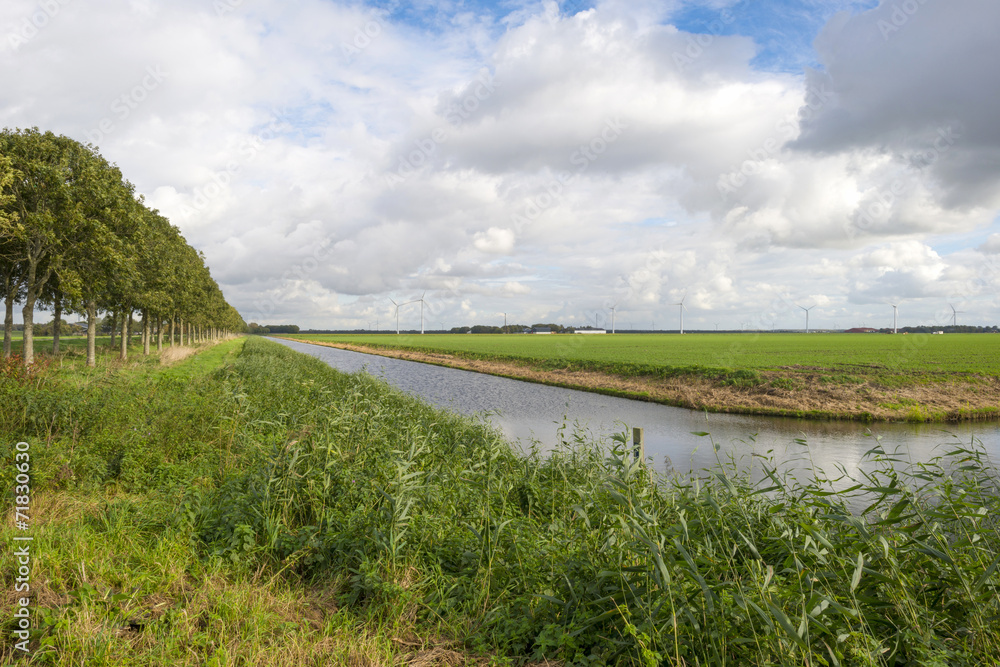 Fototapeta premium Canal through a rural landscape at fall