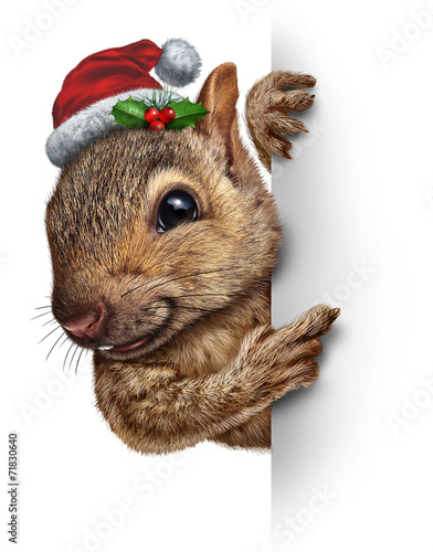Holiday Squirrel Vertical