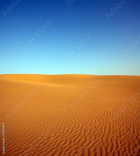 evening desert landscape