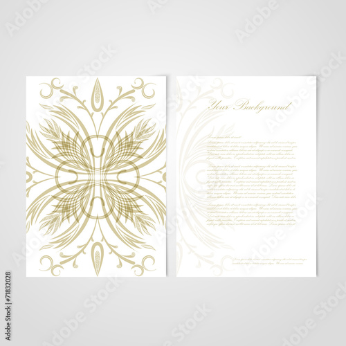 Vector Elegant background with lace ornament . © iKatod