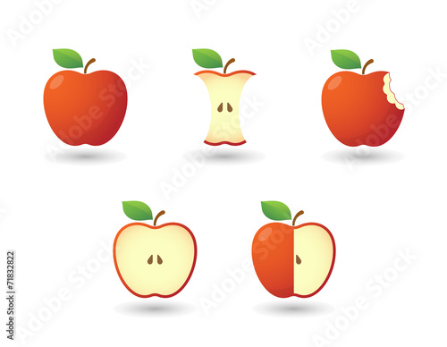 Apple illustration set