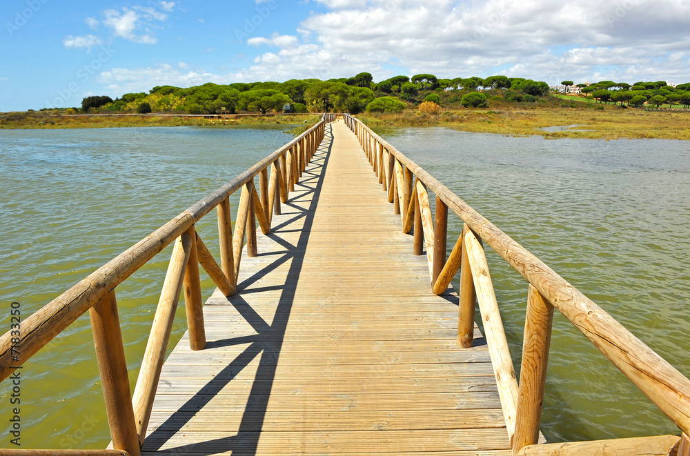 Marshes of Rio Piedras, El Rompido, Huelva province, Spain