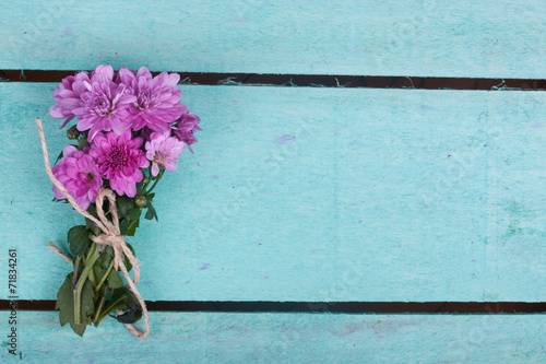 Fototapeta Naklejka Na Ścianę i Meble -  pink chrysanthemum