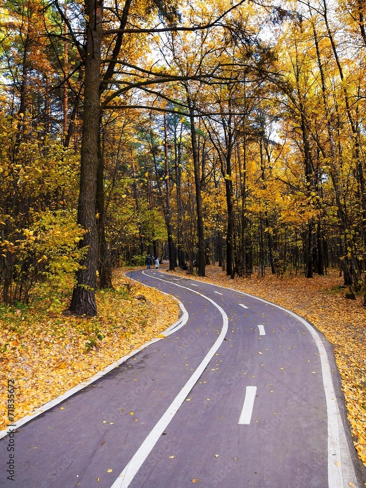 Obraz premium bike path in autumn