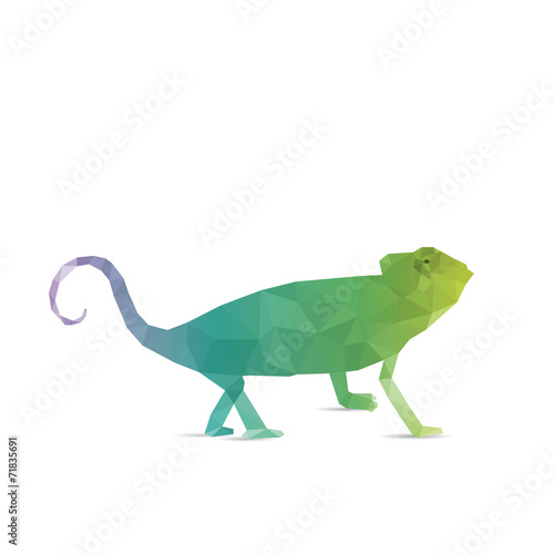 Abstract Iguana isolated on a white backgrounds