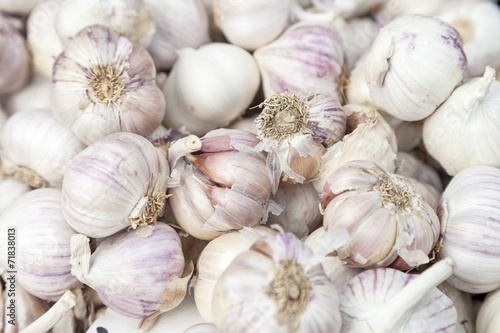 Garlic for sale