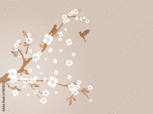 silhouette cherry blossom