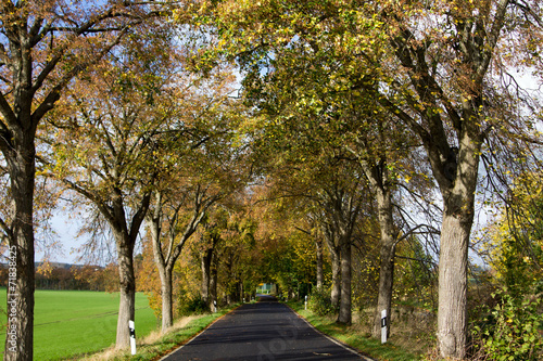 Deutsche Alleestrasse Insel Rügen