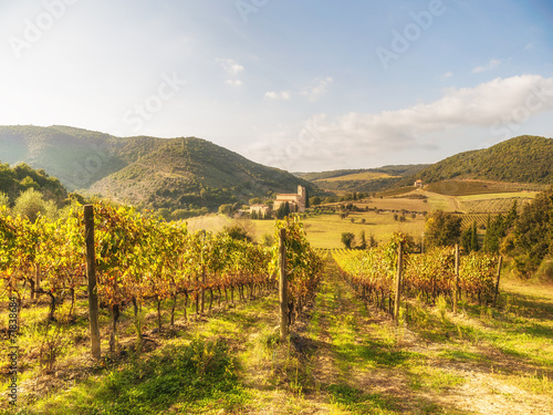 Italian medieval 'Church between vineyards, Tuscany