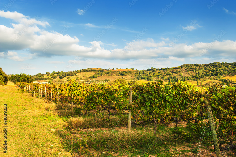 Autumn Tuscany landscape