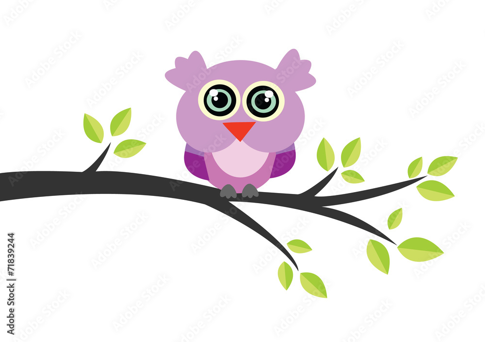 Fototapeta premium sowa