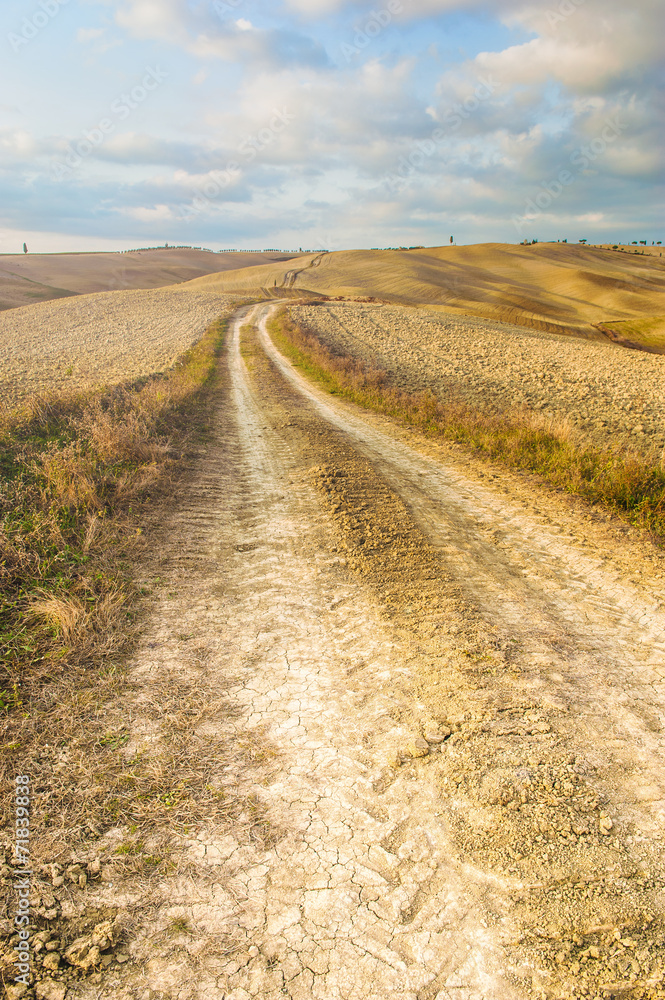 The road between the golden autumn fields