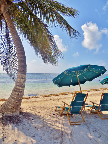 Umbrellas and lounge chairs under a palm tree  on a secluded bea