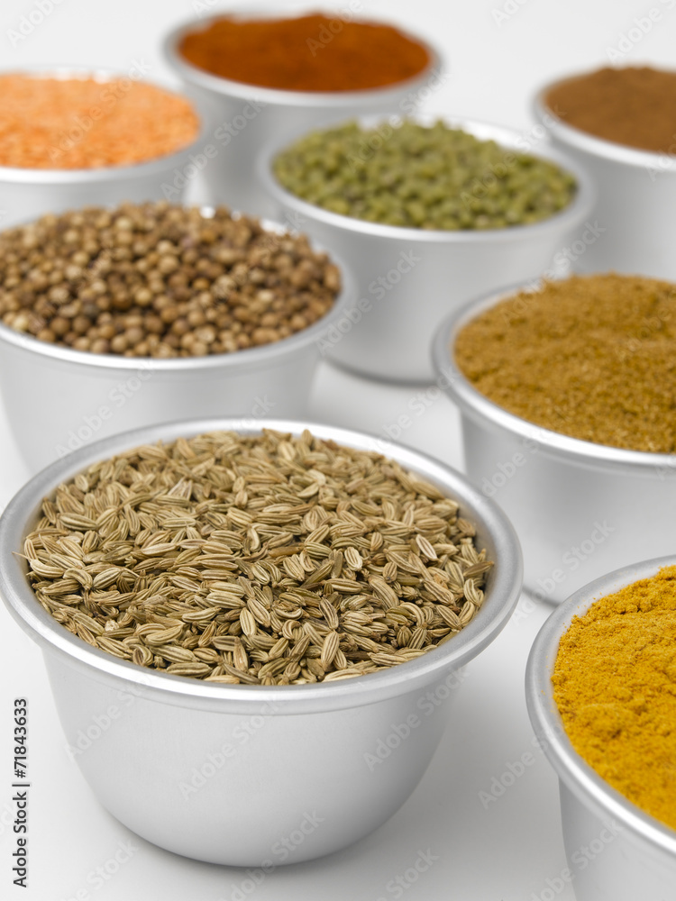 Fennel Seed Fennel Seed