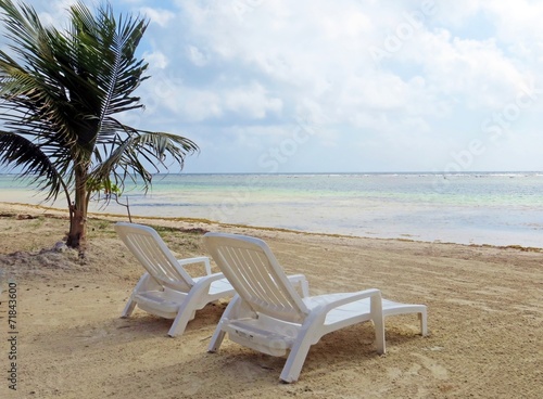 Umbrellas and lounge chairs under a palm tree  on a secluded bea