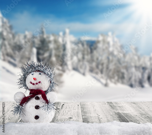 Winter snowy scenery with snow man