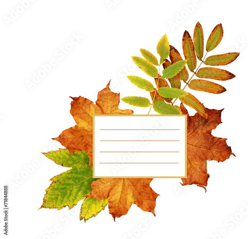 Fall leaves frame