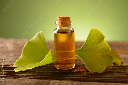 Картината върху платно Gonkgo leaves and extract