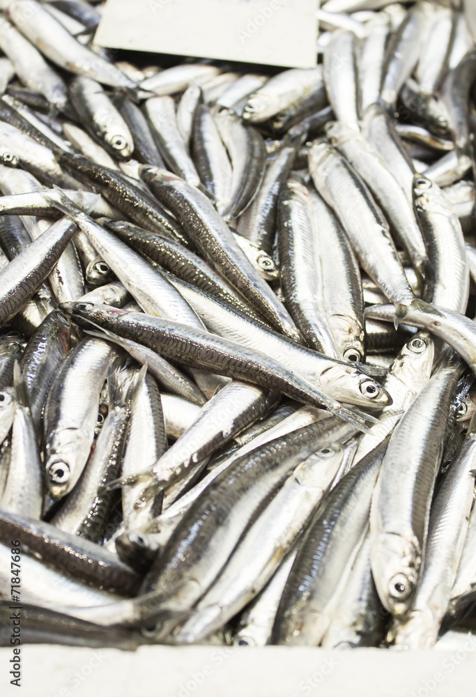 Obraz premium Fresh sardines