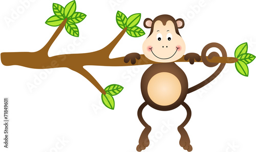 Monkey Hanging Tree