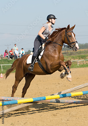  horse jumping