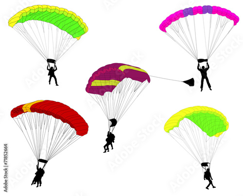skydivers illustration - vector