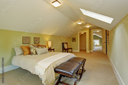 Foto Spacious  master bedroom with vaulted ceiling and skylight