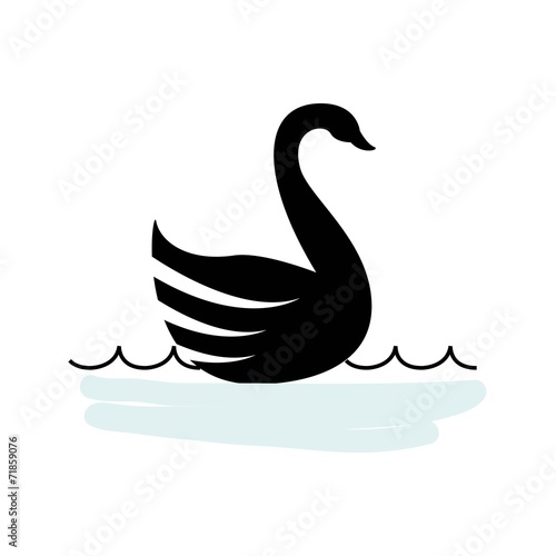 swan design