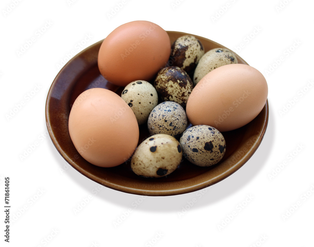 eggs of the quail and three of the hen on the plate isolated eggs of the quail and three of the hen on the plate isolated