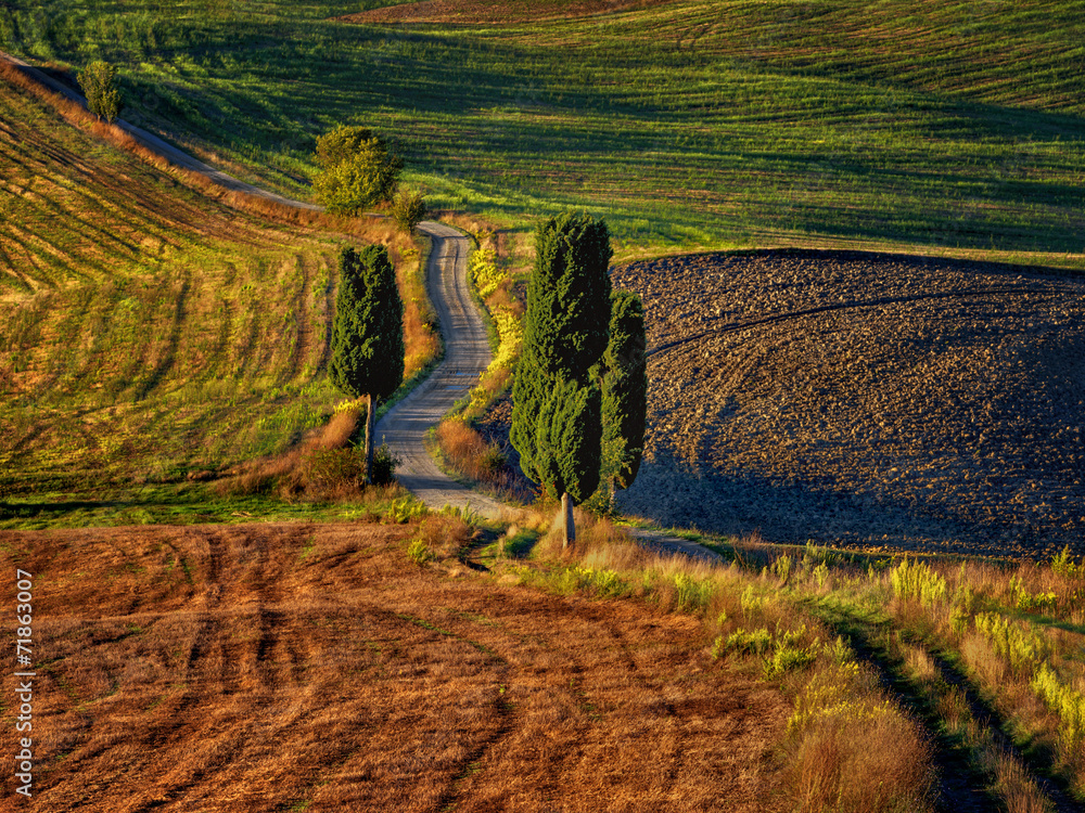 Naklejka premium Toscania, Włochy, Krajobraz wiejski