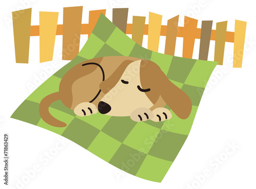 寝る犬