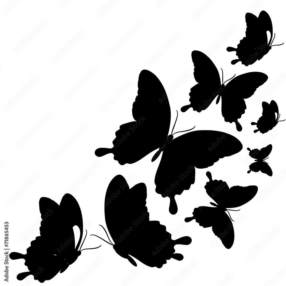 Fototapeta premium butterflies design