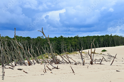 Wanderd  ne im Slowinski-Nationalpark   Leba