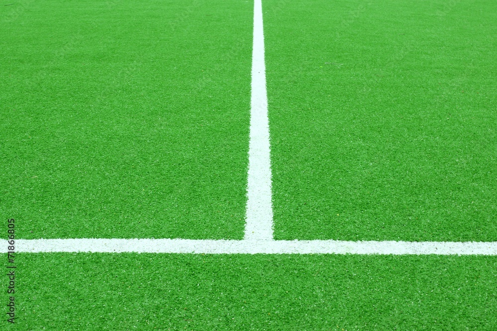 Synthetic Soccer or Footbal Field