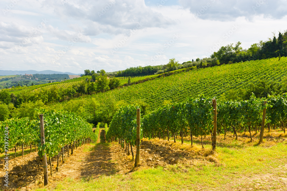 Vineyards