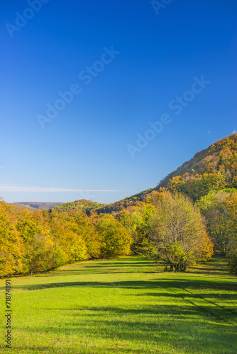 Laubwald in Herbstfarben bei blauem Himmel
