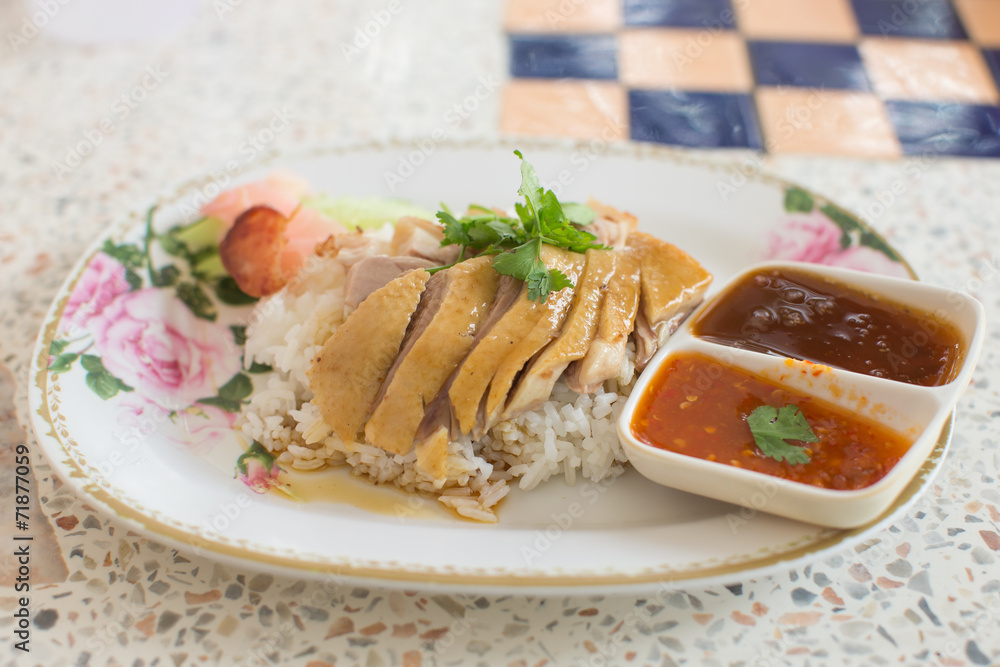 Roast Duck over Rice in plate with sauce Roast Duck over Rice in plate with sauce