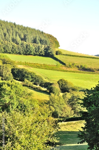 Rural landscape in Morvan