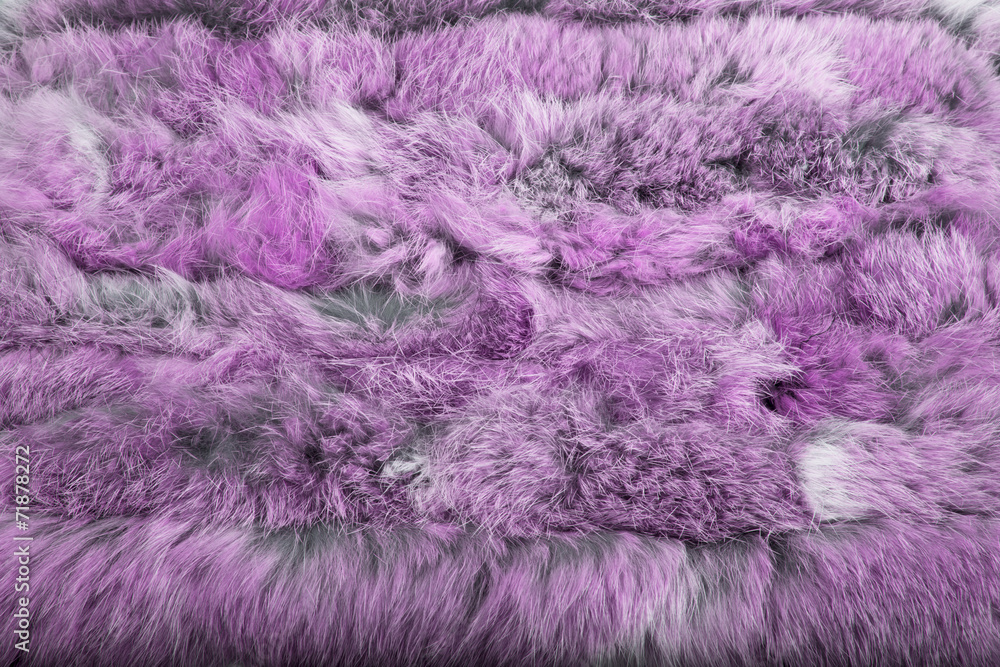 Obraz premium Pink beautiful animal fur (background, wallpaper)