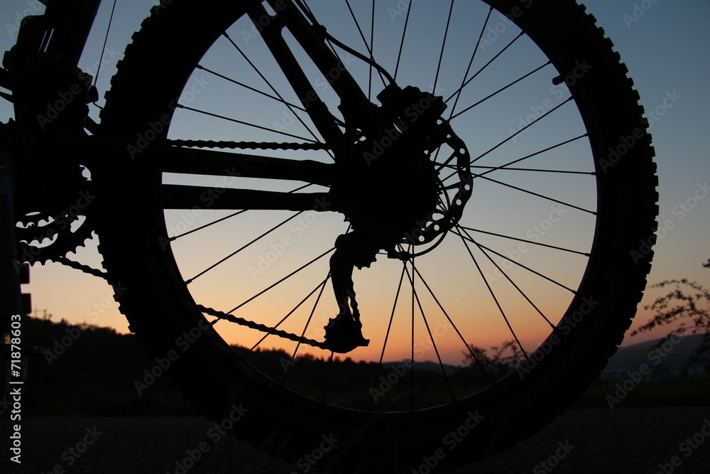 Fototapeta premium Hinterrad eines Mountainbikes bei Sonnenuntergang