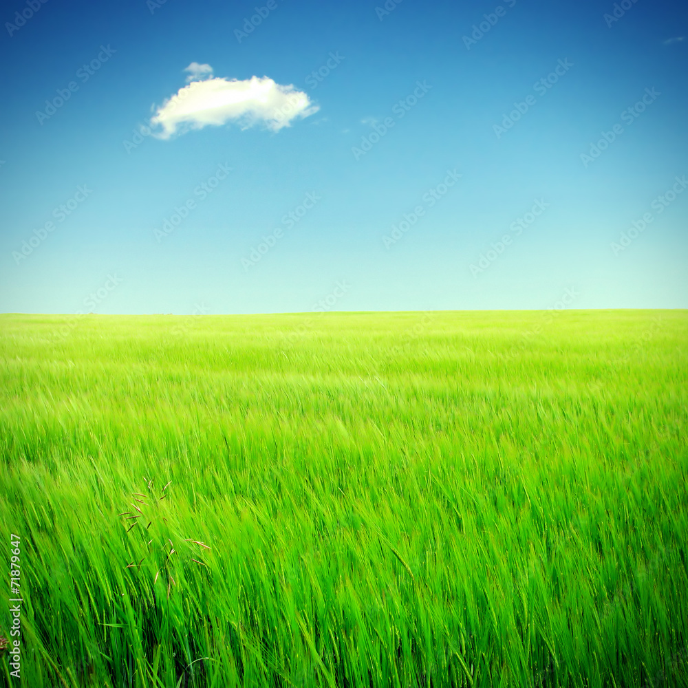 Nature background