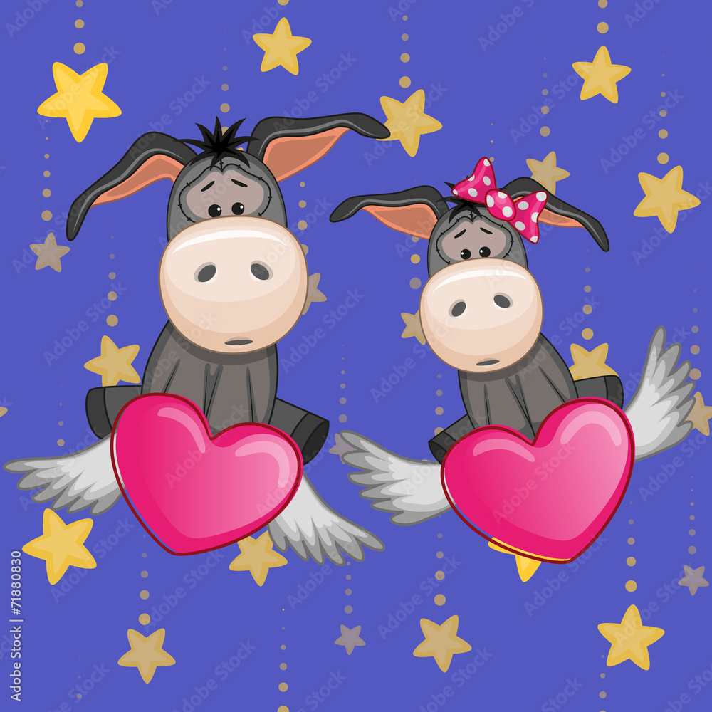 Obraz premium Lovers Donkeys