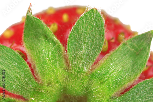 Strawberry close-up