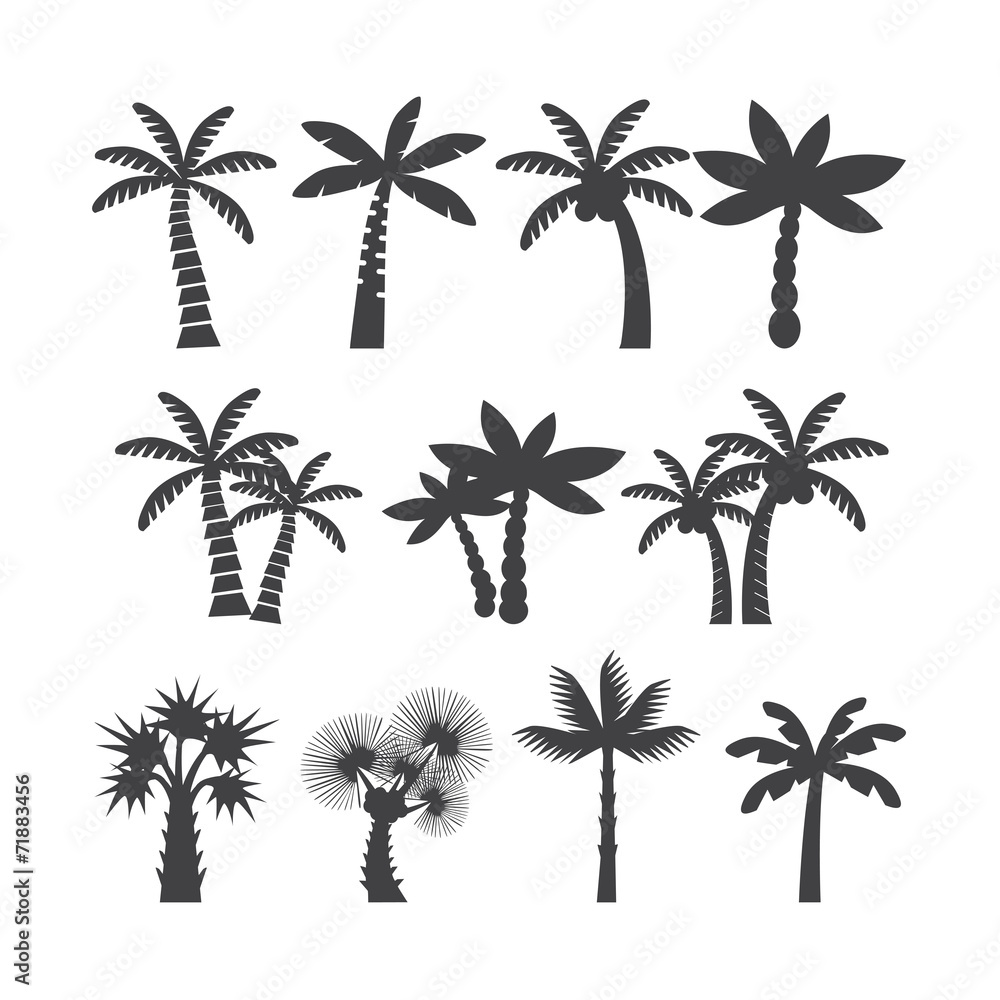 palm tree icon set,  vector eps10