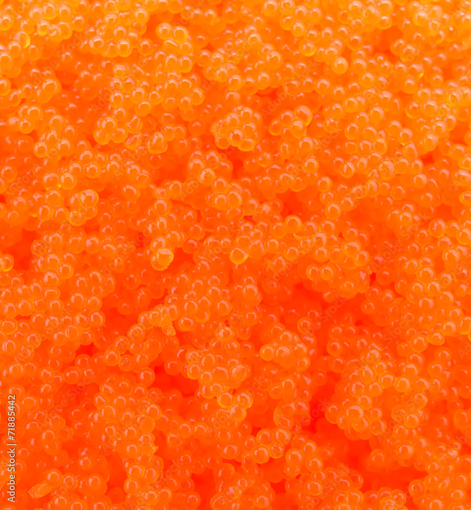 Egg shrimp background Egg shrimp background